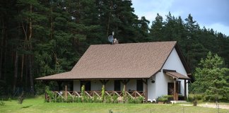 alchimica_hydroizolacja tarasu na gruncie (4).jpg
